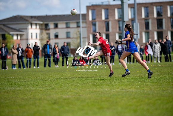 20240427 - Wicklow v Louth (Leinster LGFA Minor C Championship) - 202404271517307700