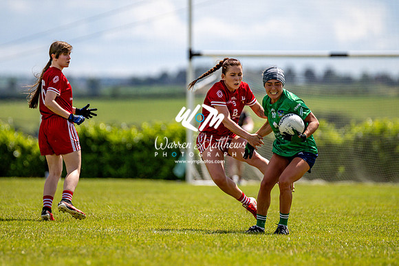 20240616 - Louth v Limerick (TG4 All Ireland JFC) - 202406161408209700