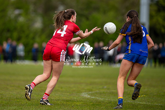 20240427 - Wicklow v Louth (Leinster LGFA Minor C Championship) - 202404271410299800