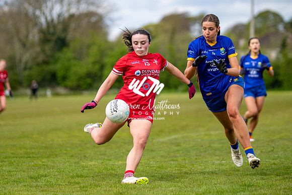 20240427 - Wicklow v Louth (Leinster LGFA Minor C Championship) - 202404271413181600