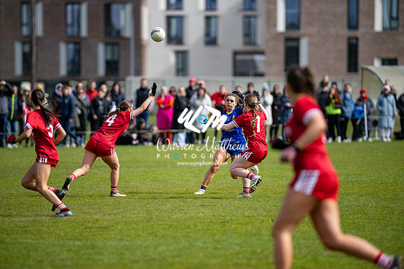 20240427 - Wicklow v Louth (Leinster LGFA Minor C Championship) - 202404271536595100