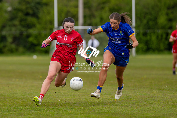 20240427 - Wicklow v Louth (Leinster LGFA Minor C Championship) - 202404271407029000