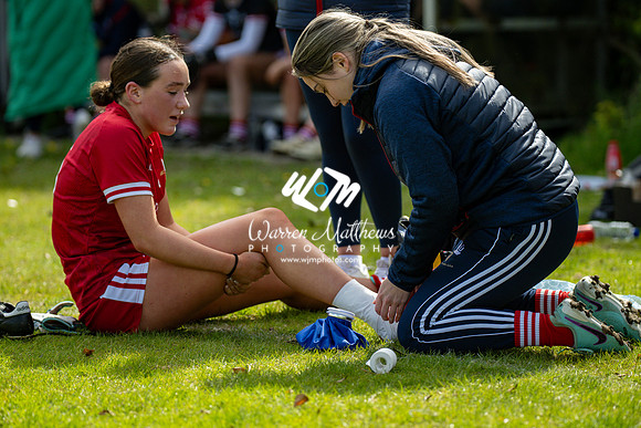 20240427 - Wicklow v Louth (Leinster LGFA Minor C Championship) - 202404271522241900