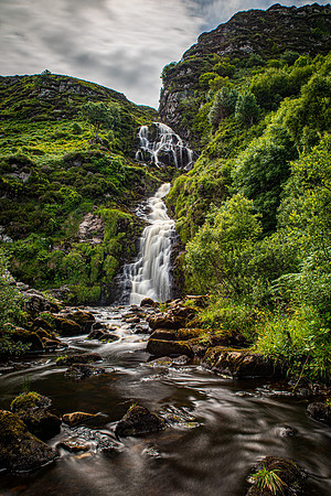 WJM_9295