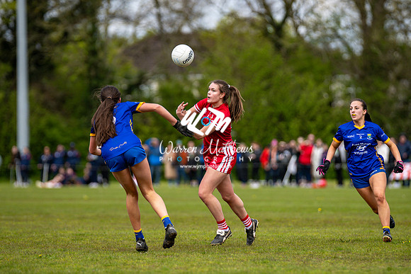 20240427 - Wicklow v Louth (Leinster LGFA Minor C Championship) - 202404271412517200