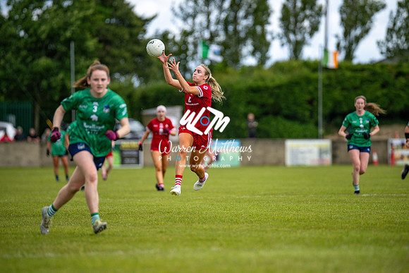20240616 - Louth v Limerick (TG4 All Ireland JFC) - 202406161334097900
