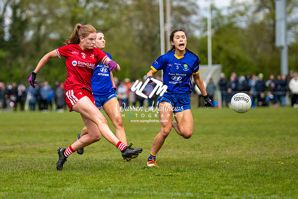 20240427 - Wicklow v Louth (Leinster LGFA Minor C Championship) - 202404271412543200