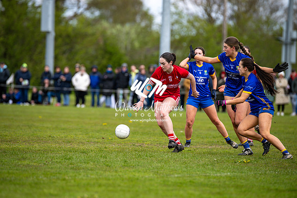 20240427 - Wicklow v Louth (Leinster LGFA Minor C Championship) - 202404271405401700