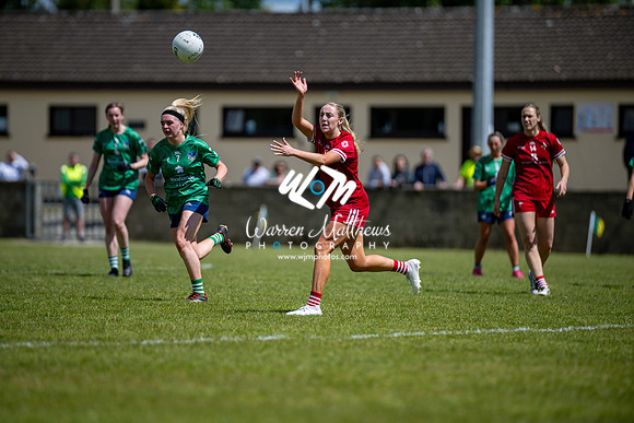 20240616 - Louth v Limerick (TG4 All Ireland JFC) - 202406161405182000