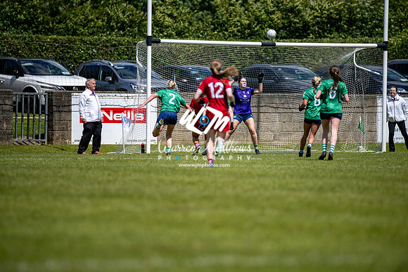 20240616 - Louth v Limerick (TG4 All Ireland JFC) - 202406161407431600