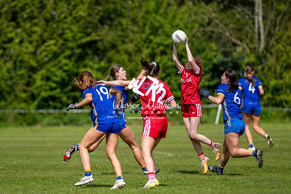 20240427 - Wicklow v Louth (Leinster LGFA Minor C Championship) - 202404271453539400