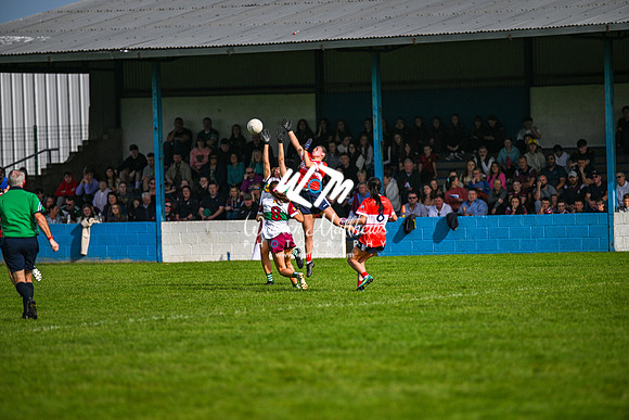 20231008 -  ORaghallaighs_Oliver Plunketts v Hunterstown Rovers GFC (Global Tiles & Bathrooms Intermediate Championship Final) - 2023100814131182