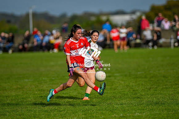 20231008 -  ORaghallaighs_Oliver Plunketts v Hunterstown Rovers GFC (Global Tiles & Bathrooms Intermediate Championship Final) - 2023100814132381