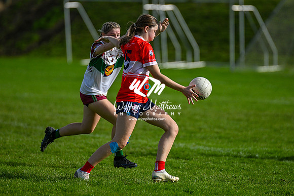20231008 -  ORaghallaighs_Oliver Plunketts v Hunterstown Rovers GFC (Global Tiles & Bathrooms Intermediate Championship Final) - 2023100814352070