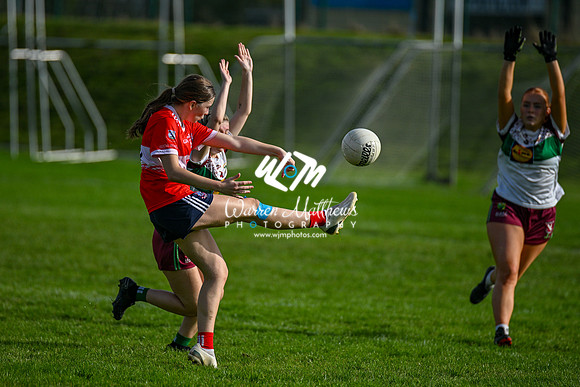 20231008 -  ORaghallaighs_Oliver Plunketts v Hunterstown Rovers GFC (Global Tiles & Bathrooms Intermediate Championship Final) - 2023100814352101