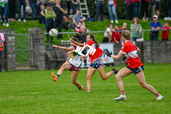 20231008 -  ORaghallaighs_Oliver Plunketts v Hunterstown Rovers GFC (Global Tiles & Bathrooms Intermediate Championship Final) - 2023100815093519