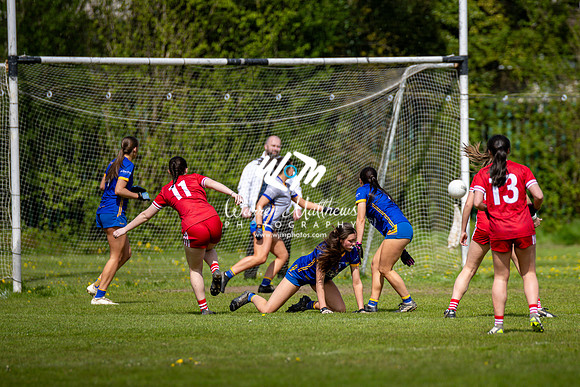 20240427 - Wicklow v Louth (Leinster LGFA Minor C Championship) - 202404271446155600