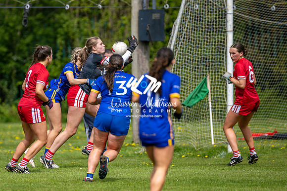 20240427 - Wicklow v Louth (Leinster LGFA Minor C Championship) - 202404271426210200