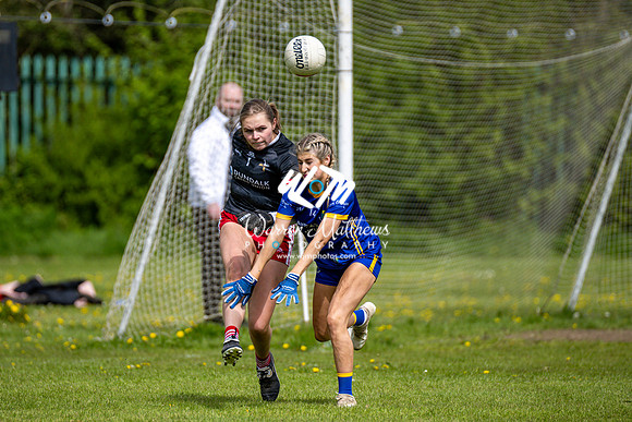 20240427 - Wicklow v Louth (Leinster LGFA Minor C Championship) - 202404271431418200