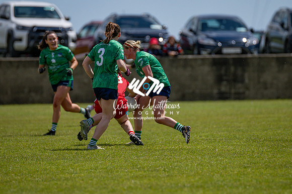 20240616 - Louth v Limerick (TG4 All Ireland JFC) - 202406161310433800