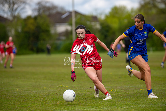 20240427 - Wicklow v Louth (Leinster LGFA Minor C Championship) - 202404271407049400
