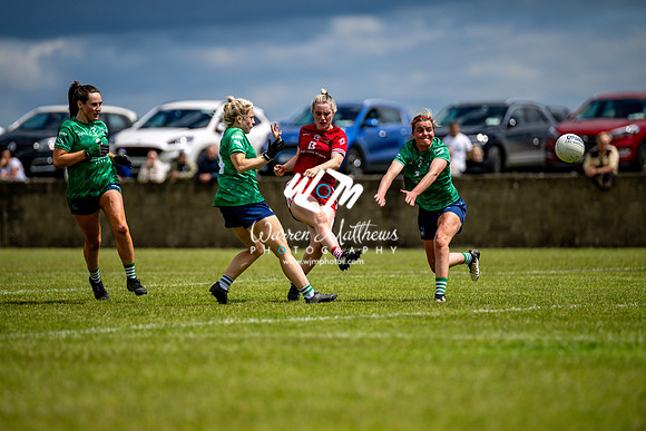 20240616 - Louth v Limerick (TG4 All Ireland JFC) - 202406161325464400