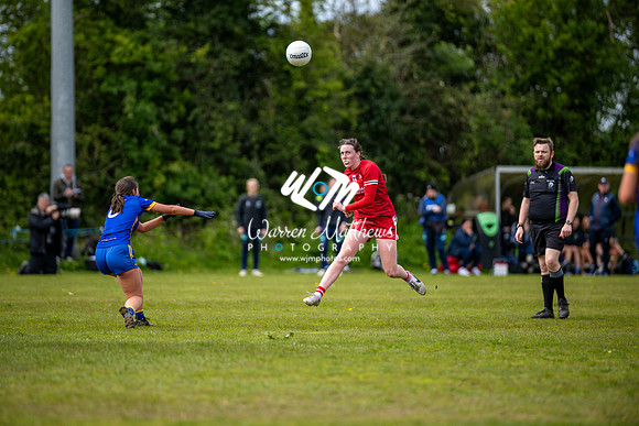20240427 - Wicklow v Louth (Leinster LGFA Minor C Championship) - 202404271417351100