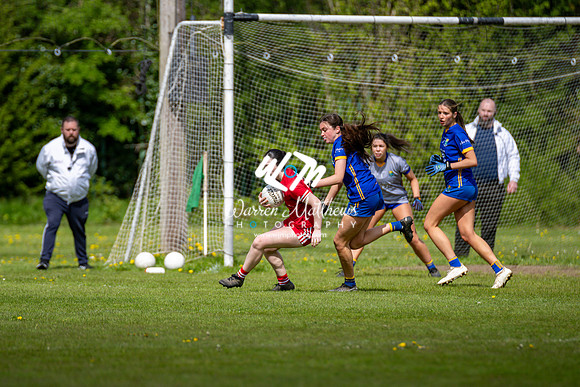 20240427 - Wicklow v Louth (Leinster LGFA Minor C Championship) - 202404271446137300