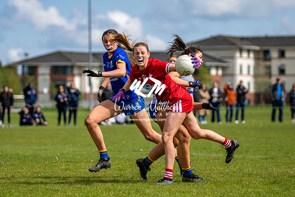 20240427 - Wicklow v Louth (Leinster LGFA Minor C Championship) - 202404271508497500