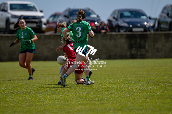 20240616 - Louth v Limerick (TG4 All Ireland JFC) - 202406161310434900