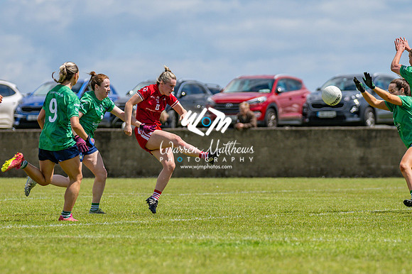 20240616 - Louth v Limerick (TG4 All Ireland JFC) - 202406161313576800