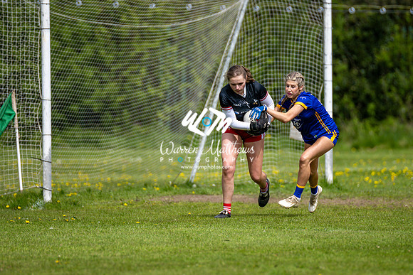 20240427 - Wicklow v Louth (Leinster LGFA Minor C Championship) - 202404271431402400