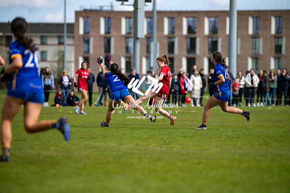 20240427 - Wicklow v Louth (Leinster LGFA Minor C Championship) - 202404271550101800