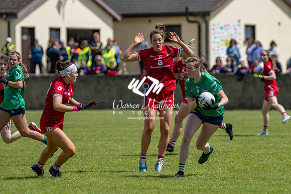 20240616 - Louth v Limerick (TG4 All Ireland JFC) - 202406161307464300