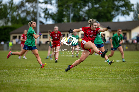 20240616 - Louth v Limerick (TG4 All Ireland JFC) - 202406161329088400