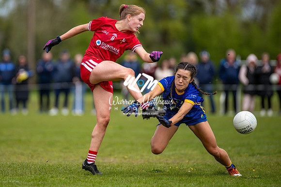 20240427 - Wicklow v Louth (Leinster LGFA Minor C Championship) - 202404271410346500