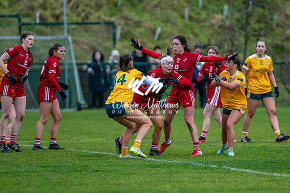 Antrim v Louth (Lidl National League Division 3)Round 1 - 2024012116191973