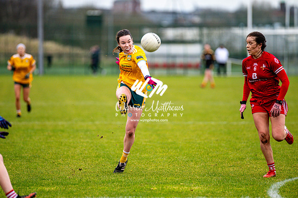 Antrim v Louth (Lidl National League Division 3)Round 1 - 2024012116152055