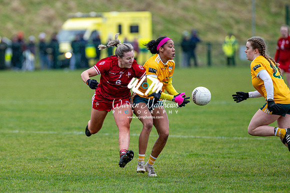 Antrim v Louth (Lidl National League Division 3)Round 1 - 2024012116214546