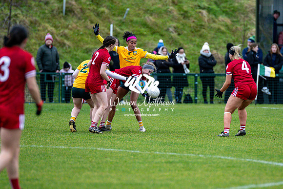 Antrim v Louth (Lidl National League Division 3)Round 1 - 2024012116233611