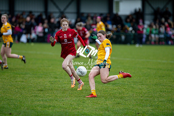Antrim v Louth (Lidl National League Division 3)Round 1 - 2024012116225315