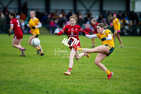 Antrim v Louth (Lidl National League Division 3)Round 1 - 2024012116225329