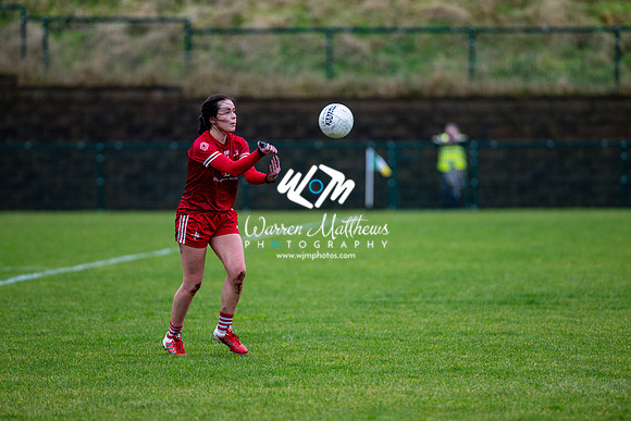 Antrim v Louth (Lidl National League Division 3)Round 1 - 2024012116230235
