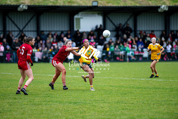 Antrim v Louth (Lidl National League Division 3)Round 1 - 2024012116244899