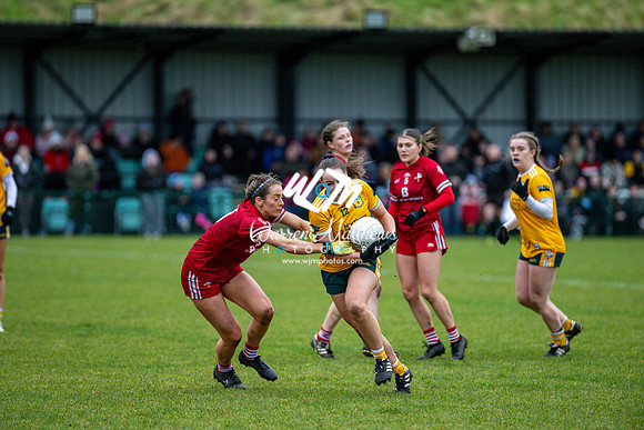 Antrim v Louth (Lidl National League Division 3)Round 1 - 2024012116245102