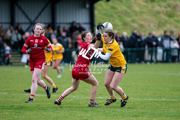 Antrim v Louth (Lidl National League Division 3)Round 1 - 2024012116261880