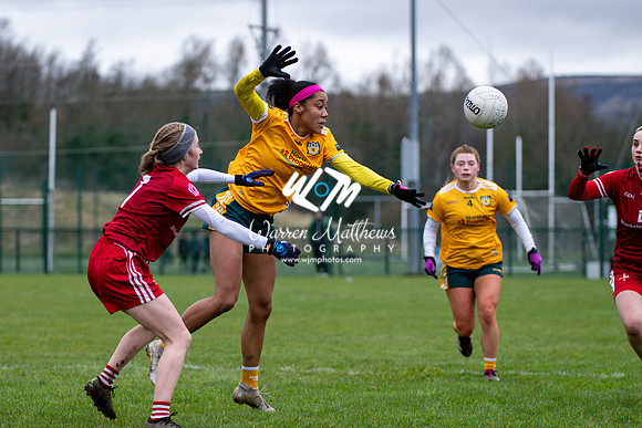 Antrim v Louth (Lidl National League Division 3)Round 1 - 2024012116300948