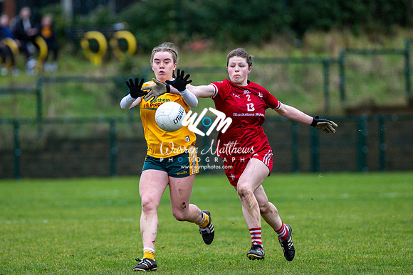 Antrim v Louth (Lidl National League Division 3)Round 1 - 2024012116303455