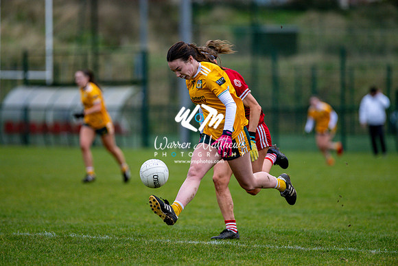 Antrim v Louth (Lidl National League Division 3)Round 1 - 2024012116302979