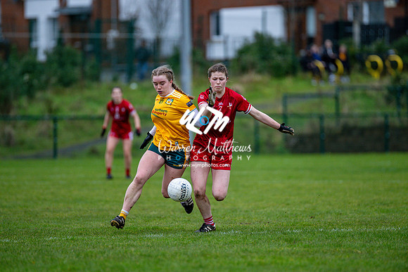 Antrim v Louth (Lidl National League Division 3)Round 1 - 2024012116303550